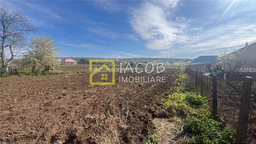 Teren intravilan 2554 mp, com. Prajesti, jud. Bacau - 13