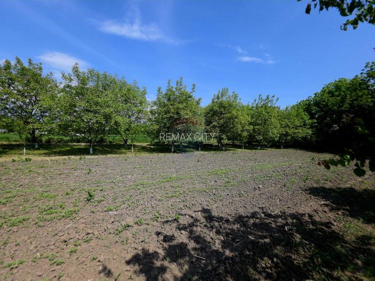 Teren intravilan 4,516mp Doina - 16
