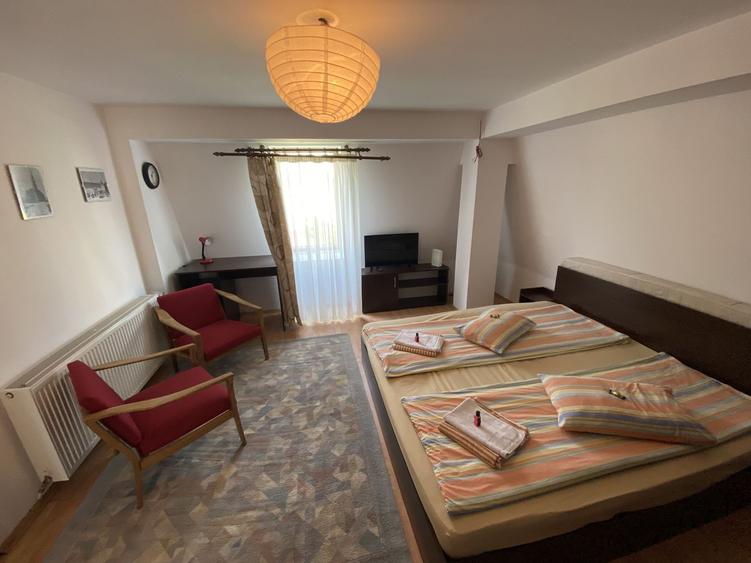 Apartament cu o cameră/ 30 mp/ finisat modern/ cartier Mănăștur