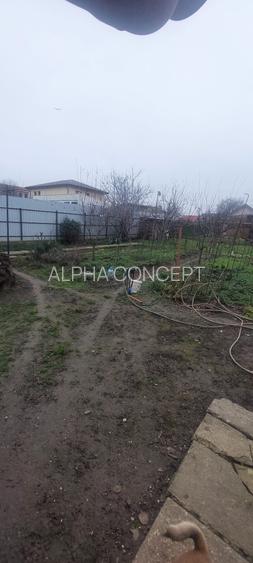 CASA 2 CORPURI - PALAZU MARE - 3