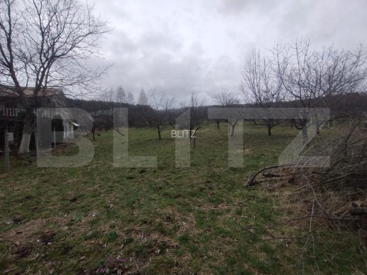 Teren intravilan, 1700 mp, utilitati, zona Dealu Jelnei - 5