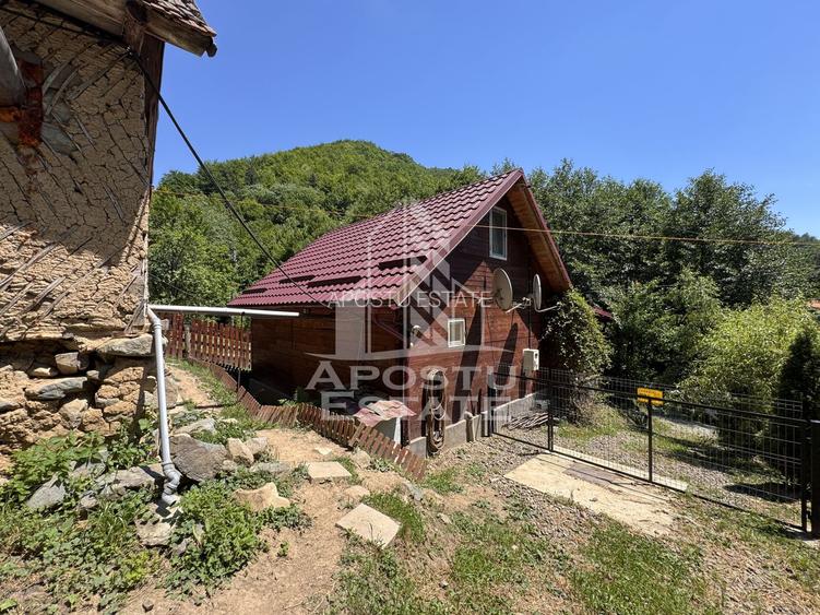 Casa din lemn, zona muntoasa, cu rau, la cheie, Ribita, Hunedoara - 41
