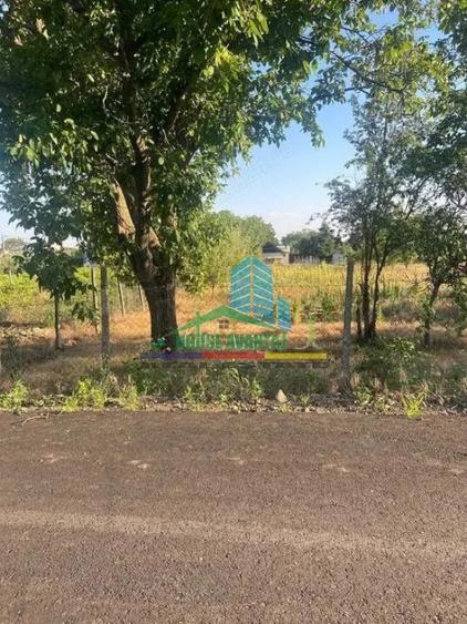 Teren 1500 mp pentru Casă | Petrești, Zonă de Case