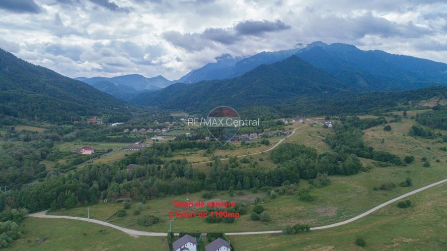 Teren extravilan Rasnov , Glajerie-Str Poiana velicanului, 2 X 1100mp - 2