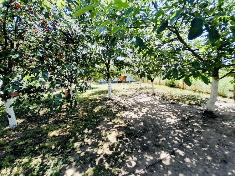 Casă + 2870 mp teren – oportunitate Ciocaia - 5