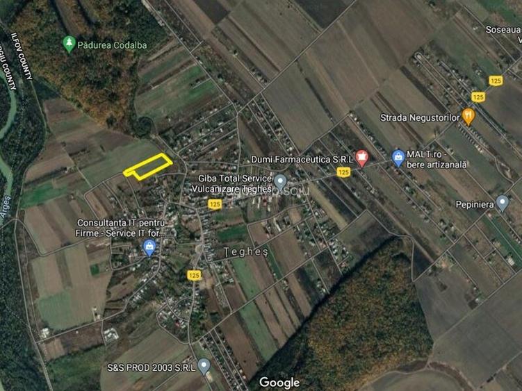 Domnesti-Teghes, 10000mp, 50X200, intravilan, acces 2 strazi, utilitati in zona - 2