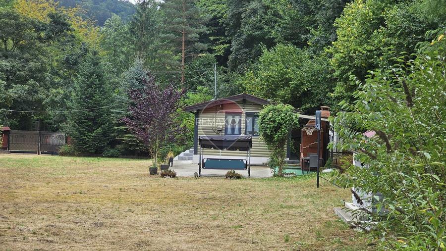 Căsuță de vacanță de vânzare – comuna Alexandru cel Bun, Neamț - 32