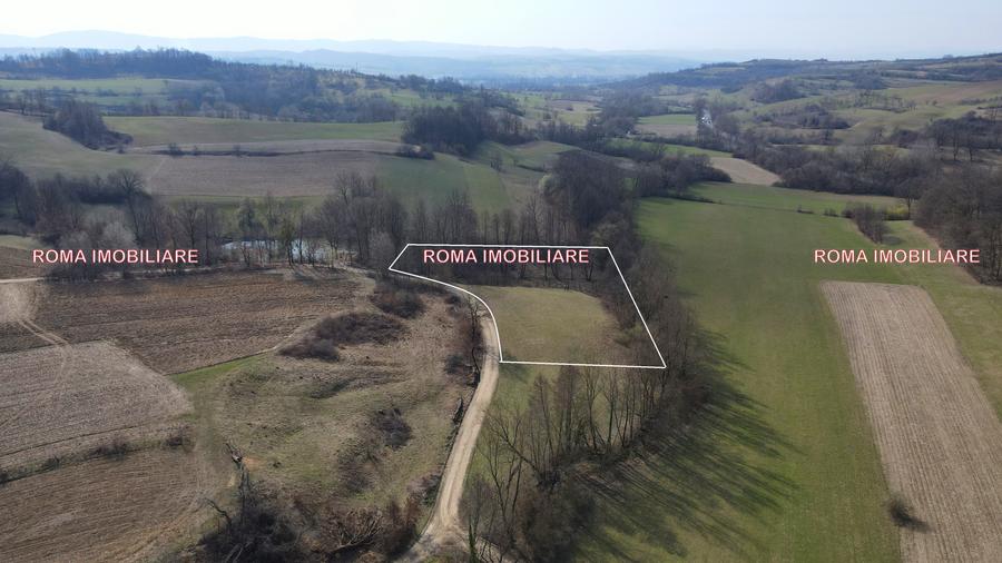 Teren superb de vânzare în Dumbrăvița – 3.750 mp