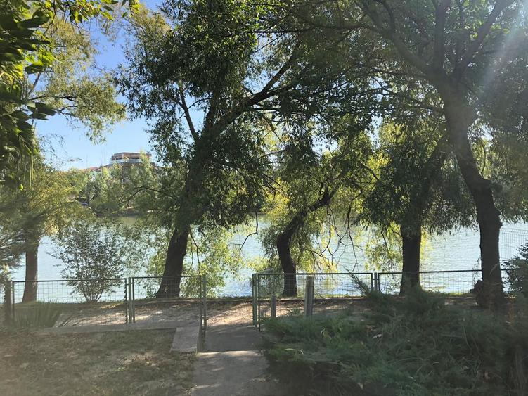 Vila 6 camere cu iesire la lacul Baneasa teren 317 mp