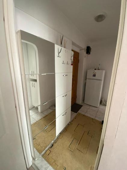 Apartament cu 1 cameră, PET FRIENDLY, zona Pacurari