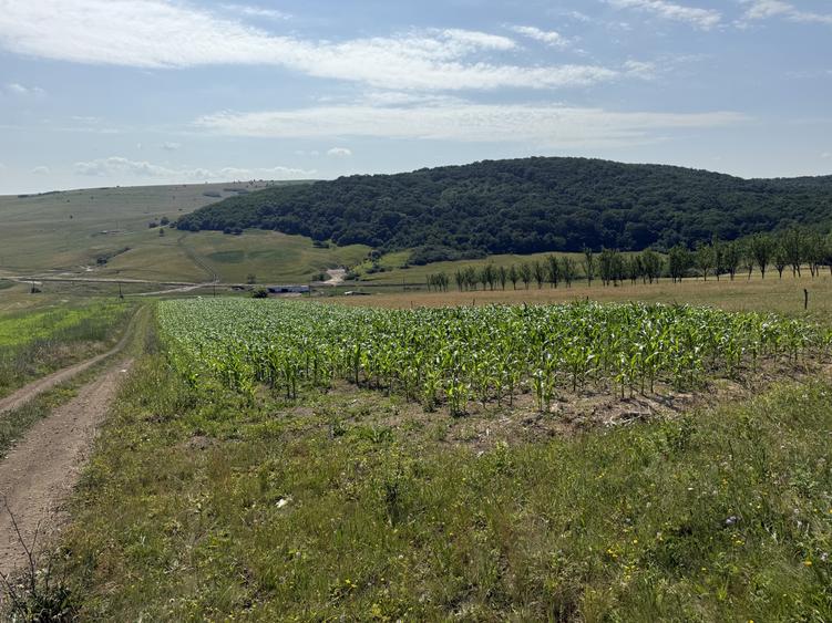 Exclusivitate! Com0%! Teren în Dezmir 5800mp Intravilan/Extravilan front 16,2ml