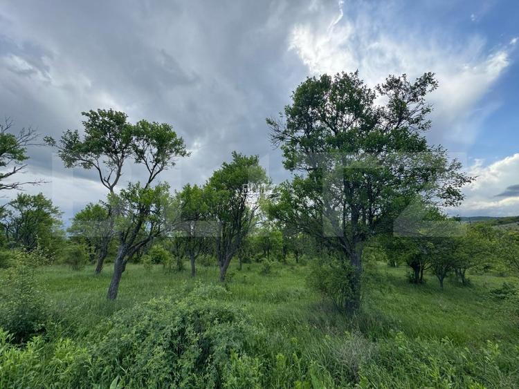 Teren extravilan de vanzare, 5305 mp, in apropiere de Hațeg - 3
