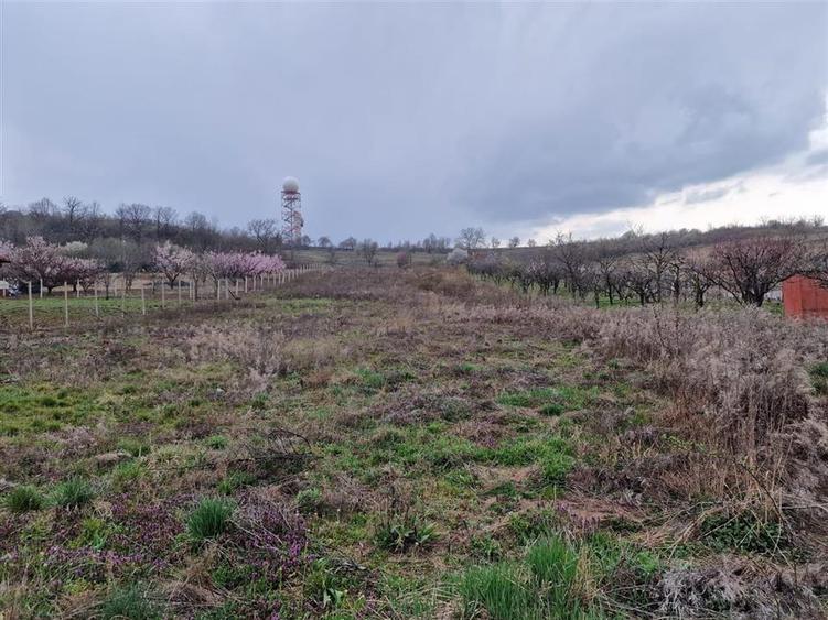 RECO Teren intravilan in Oncea, str. Prunilor