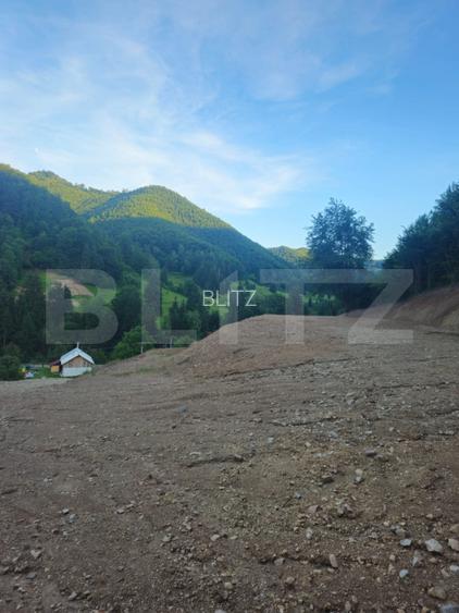 Teren de vanzare, 10.000 mp - Bistrita Bargaului, zona turistica - 7