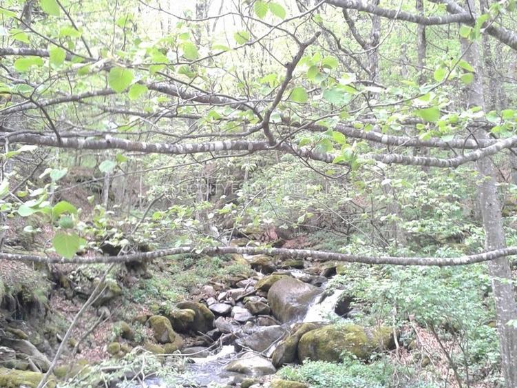 Proprietate rară în inima Retezatului – 5.700 mp teren intravilan - 17