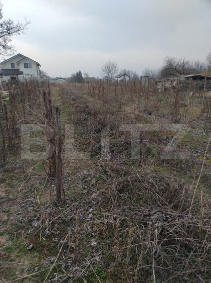 Teren intravilan 1811 mp, cu utilități, zona Malu Mare!