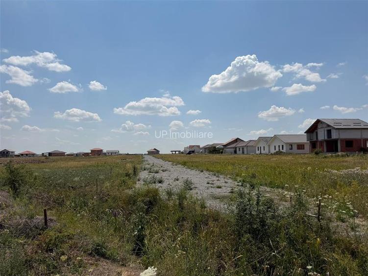 TEREN INTRAVILAN | 1044  MP | CIHEI | BIHOR - 3