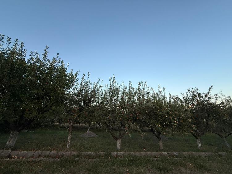 O casă cu suflet, pe un teren cât o poveste întreagă-Deva, zona Vulcan