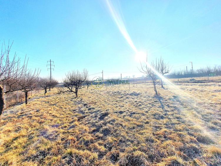 Descoperă Terenul Ideal: 390mp în Daia, Sibiu