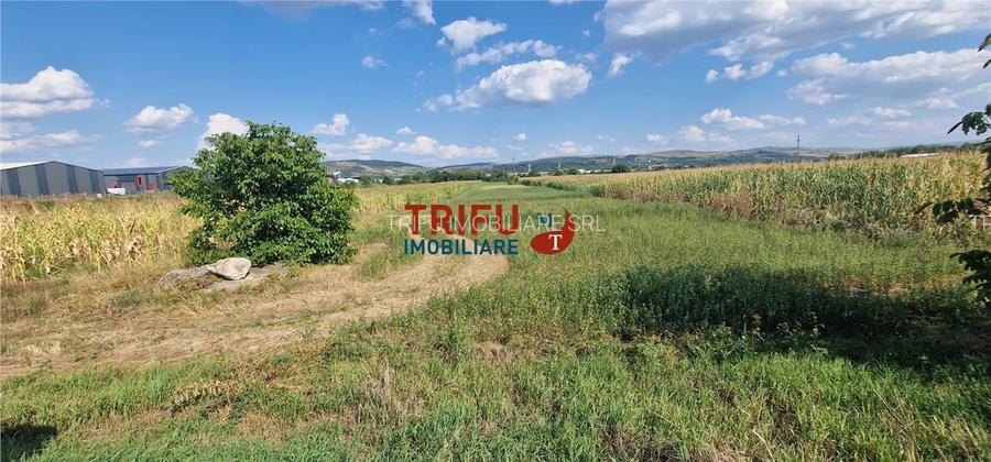 Teren intravilan construibil de 5.900 mp, zonă industrială, Șosea - 6