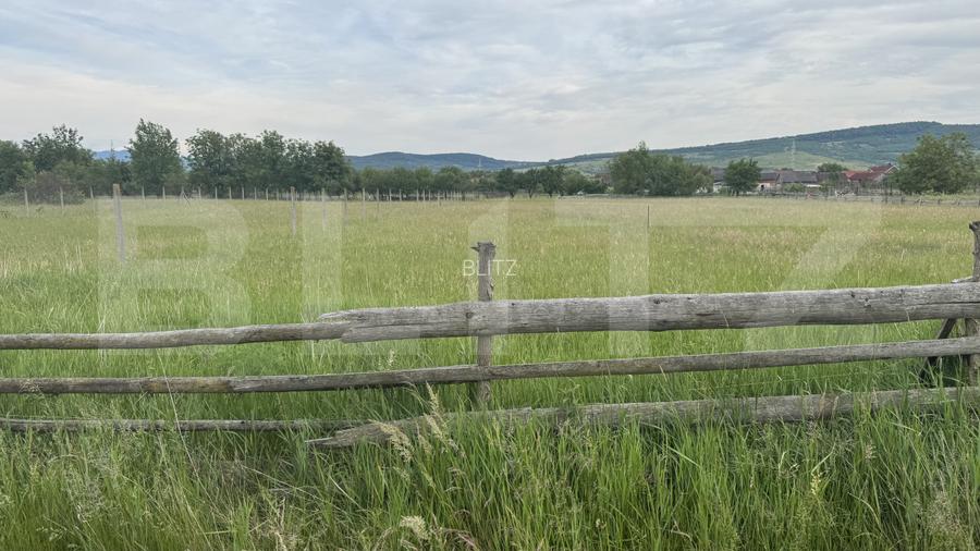 1100 mp de teren intravilan în Livezile, perfect pentru construcție - 4