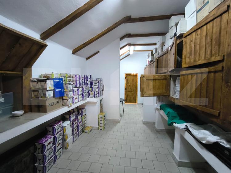 Proprietate multifuncțională, 1.850 mp utili, 23.750 mp teren, zona Brestei