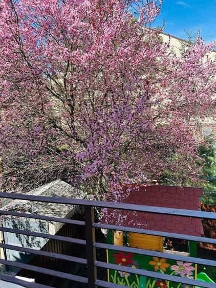 Casa cu 5 camere si garaj - la 100 ml distanta de lacul Grivita