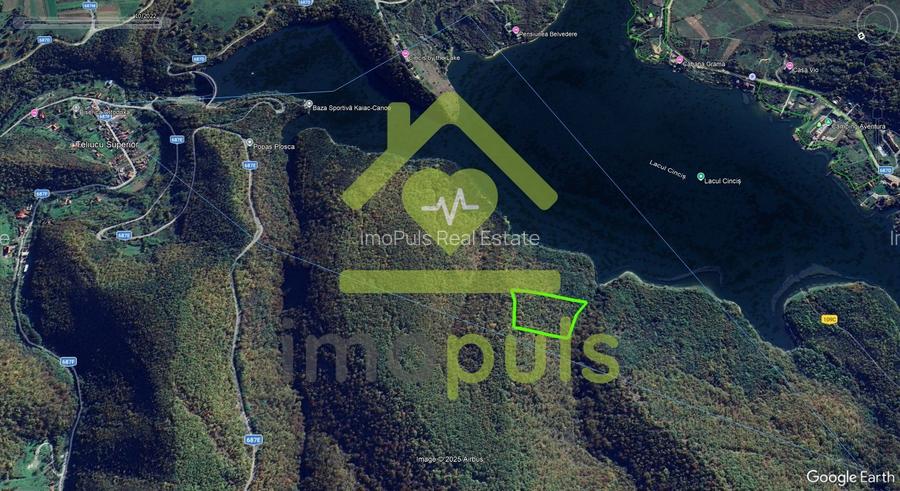🗺️ Teren împădurit 20.720 mp (2,07 ha) – malul Lacului Cinciș ✨ - 6