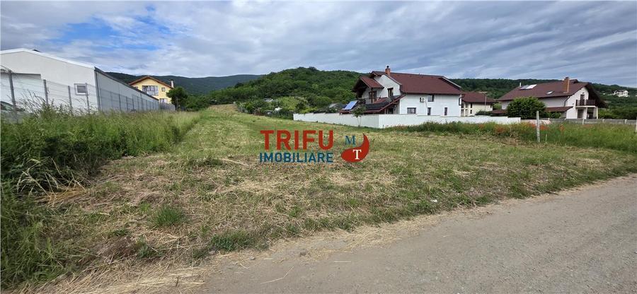 Teren de vanzare cu toate utilitatile in zona Alba Micesti