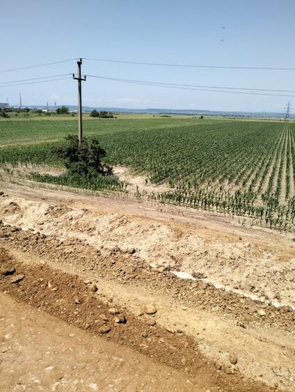 Teren Oarja de 8 400 mp, langa Pasarela A1, 5,5 euro/mp la Pretul 46 200 Euro.