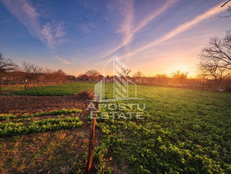Casă individuală cu etaj, teren 3000 mp, grădină și solar – Satchinez