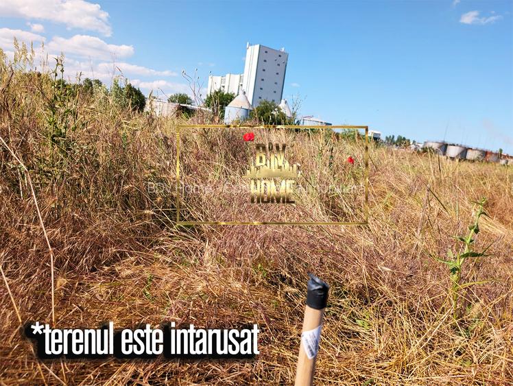 253 mp in spatele Argus Zona Industriala, VANZARE - 3