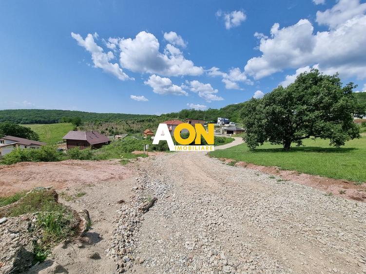 De vânzare teren intravilan 1000mp zona Seigau