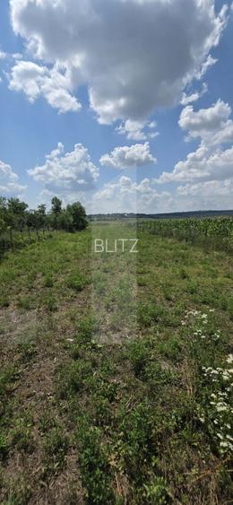 Teren intravilan, 1477mp , Loc. Balusenii Noi - Botoșani
