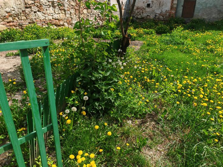 Casa 4 camere libera la vanzare RASNOV - zona Florilor