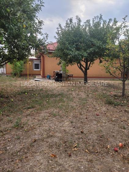 CASA SUPERBA 4 CAMERE ZONA VALU LUI TRAIAN 933MP - 36