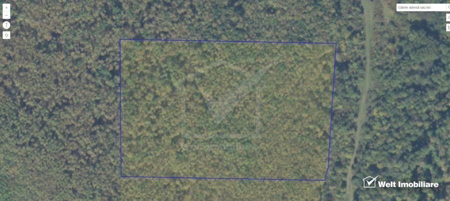 Padure de foioase 35.550MP, la 5km din loc. Romanasi, jud. Salaj