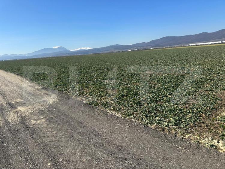 Teren de vânzare – 47.577 mp, Codlea, cu deschidere la DN1 - 3
