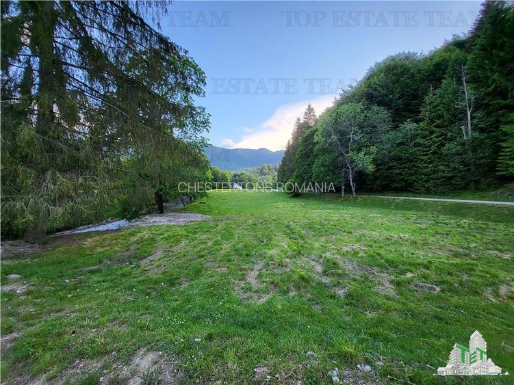 Teren Intravilan 12000 mp, Cascada Urlatoarea- Vama Buzaului, proiect aprobat pe - 9