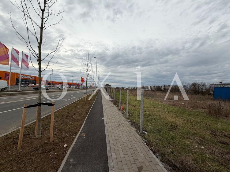 OX698 Oportunitate Investitie , 8036 MP, Buziasului-Hornbach.