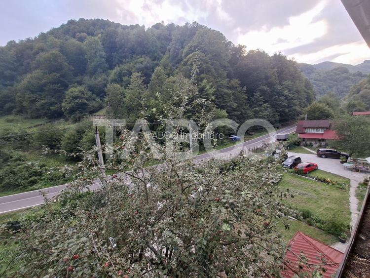 Spatiu de vanzare in Valea Macesului judel Valcea iesire la Lotru - 41