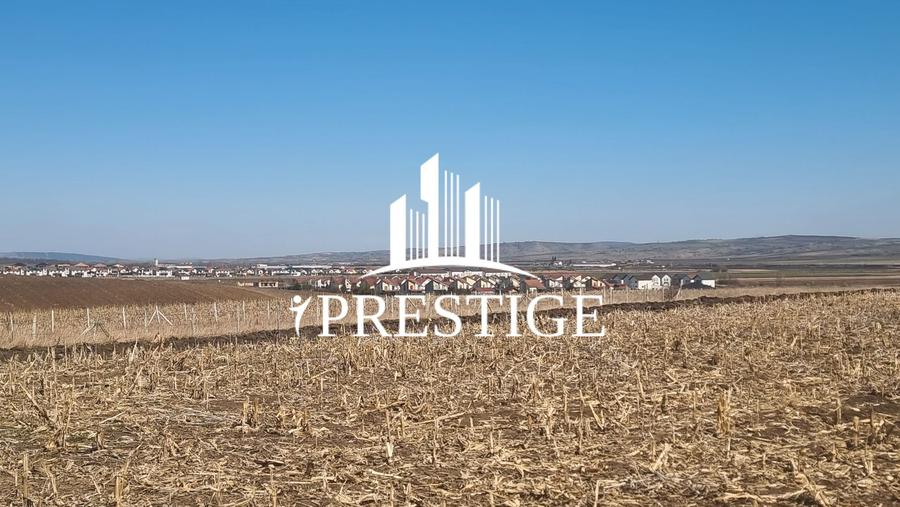 TEREN INTRAVILAN PENTRU CONSTRUCȚIE CASĂ | ȘURA MICĂ | PUZ APROBAT