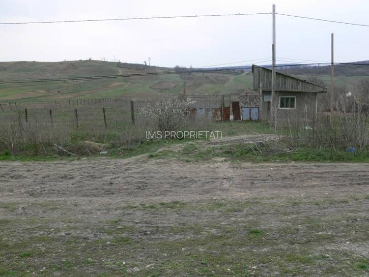 Vand teren 6170 mp in Vaslui, localitate Negresti - 2