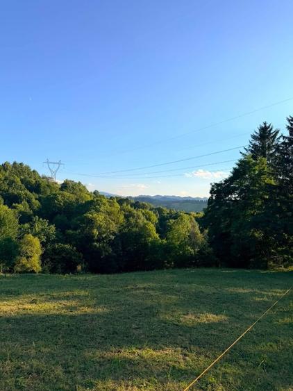 🏔️ TEREN INTRAVILAN DE VÂNZARE – BRAN | 9.085 MP | PRIVELIȘTE PANORAMICĂ | UTIL