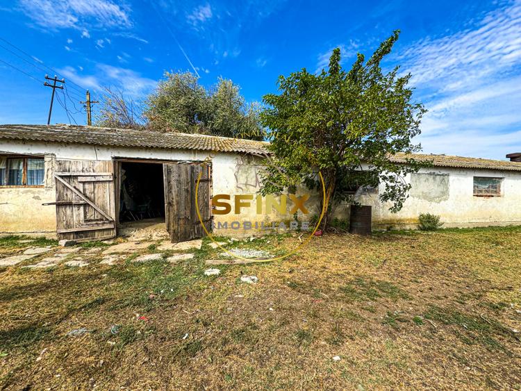 Teren intravilan 62000mp | Ferma | Logistica - Depozitare