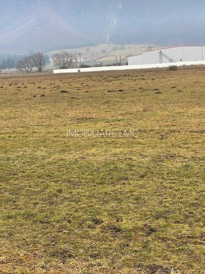 Teren Construcții intravilan de 11500 mp, în Bartolomeu - 3