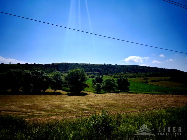 Teren 4501 mp intravilan Chinteni, Le1 | 15 min Cluj-Napoca