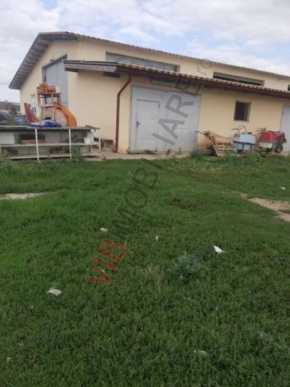 Ferma Zootehnică– Satchinez,9,5,vanzare sau schimb