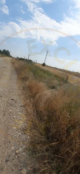 0% COMISION !!!  TEREN INTRAVILAN - BRADU