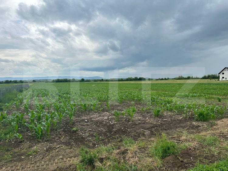 Teren intravilan ,4900 mp , 25ml front, Fratautii Vechi, Radauti